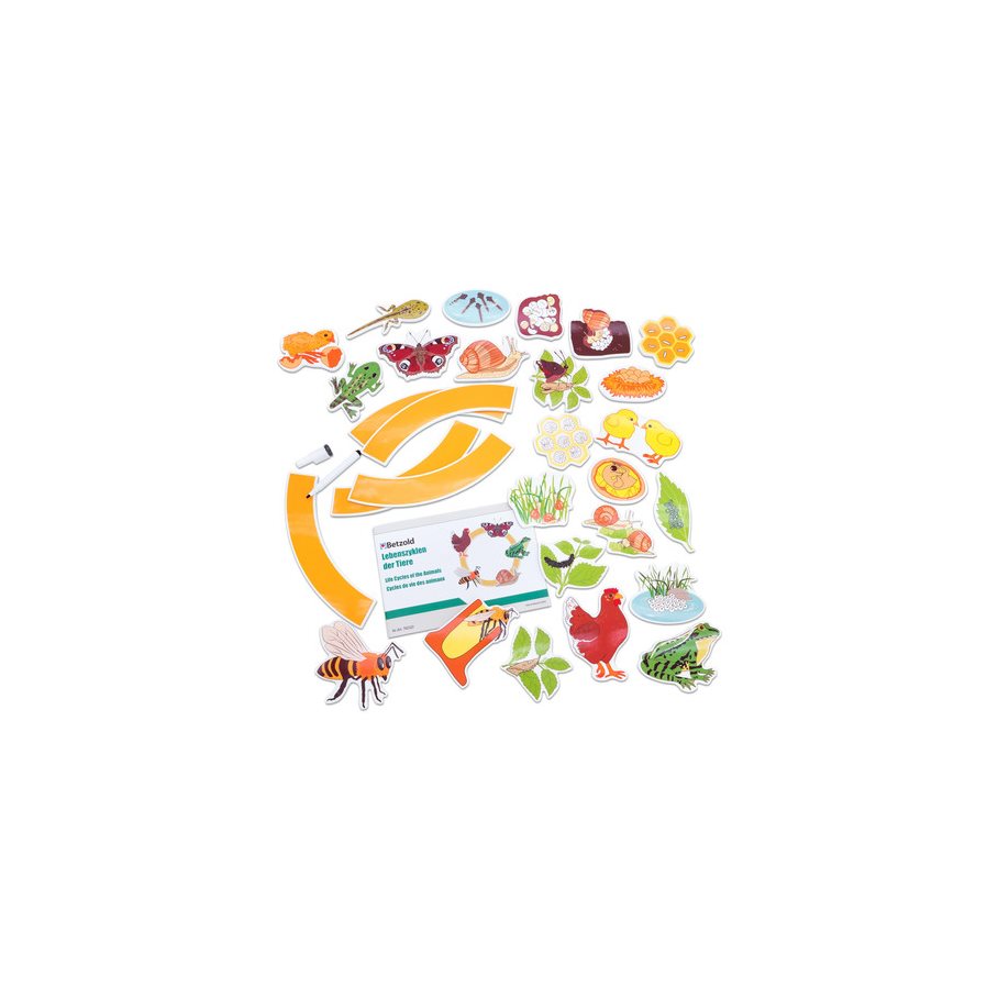 Livscykel Djur - Magnetisk EN STL