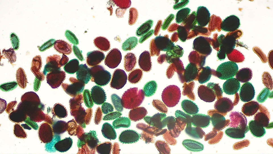 MT3-2 Digitalt mikroskop för mikrofoto 54X/135X/540X EN STL