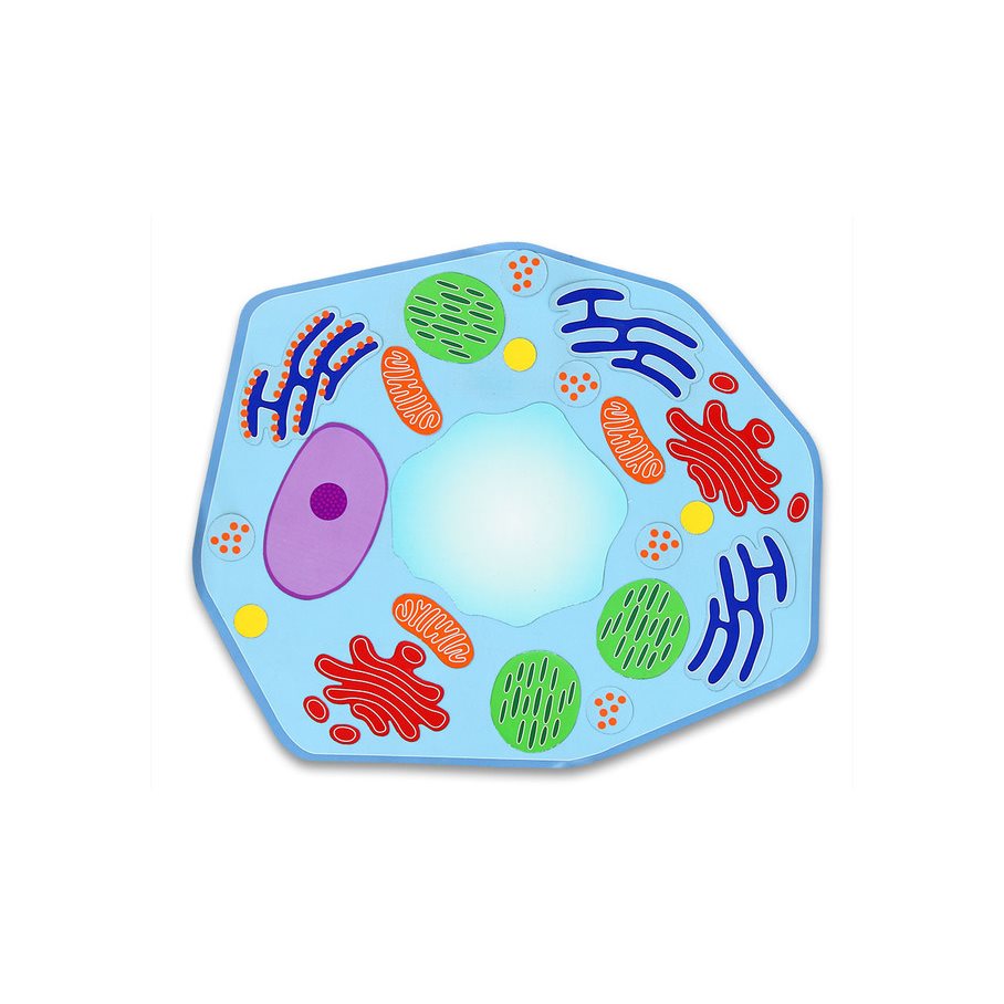Magnetisk växtcell EN STL