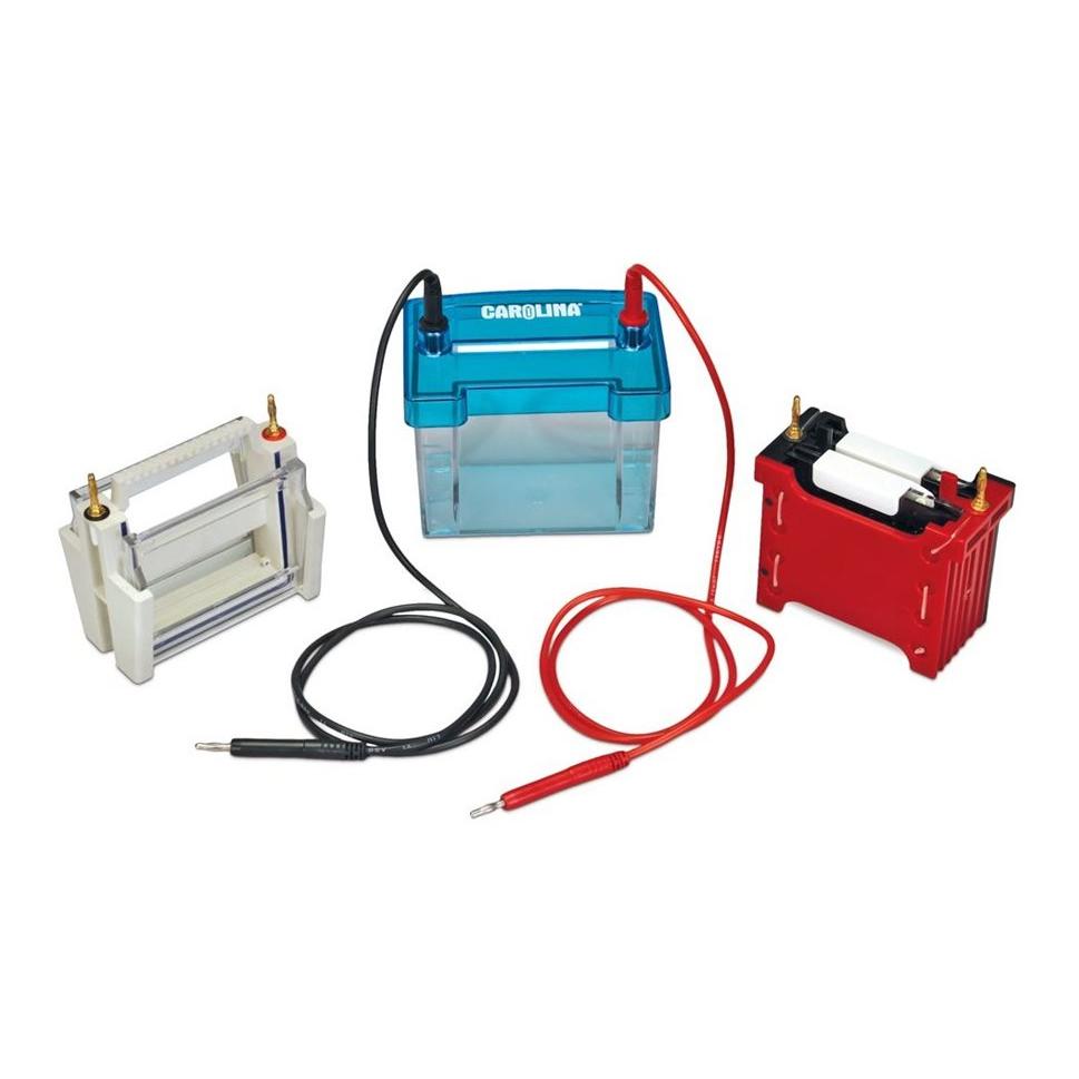 Carolina elektroforeskammare med modulsystem EN STL