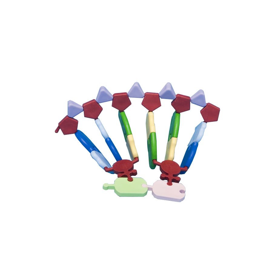 RNA, Modellsats - elev EN STL
