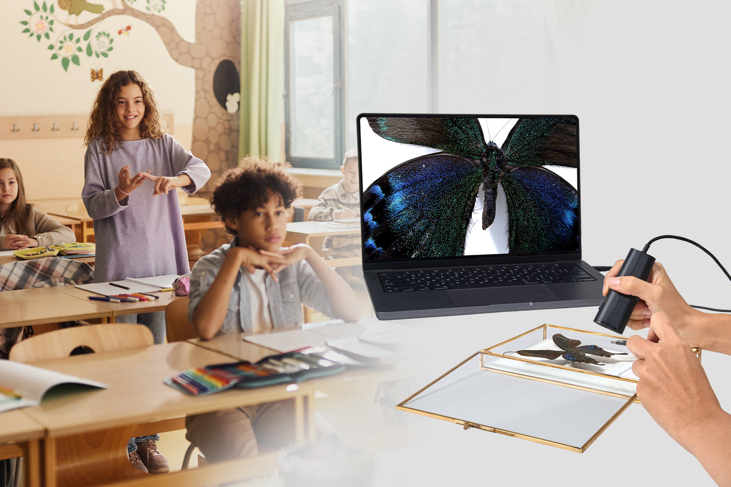 IPEVO P2V Ultra Full Pack EN STL